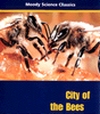 City of Bees