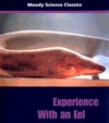Experience With an Eel